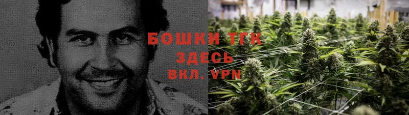 площадка формула  Миньяр  Бошки Шишки Ganja 